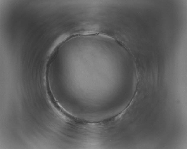 X0000054380054200508121617