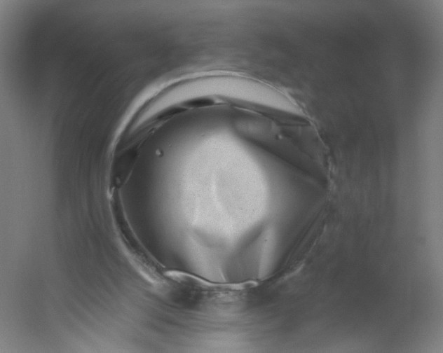 X0000054380056200508121617