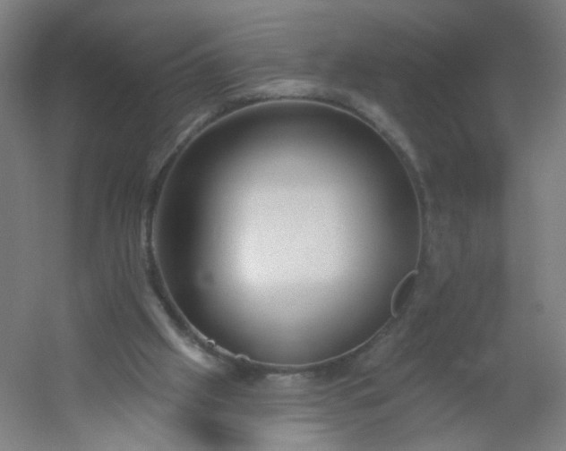 X0000054380057200508121617
