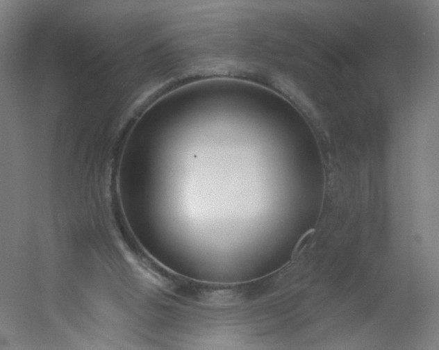X0000054380058200508121617