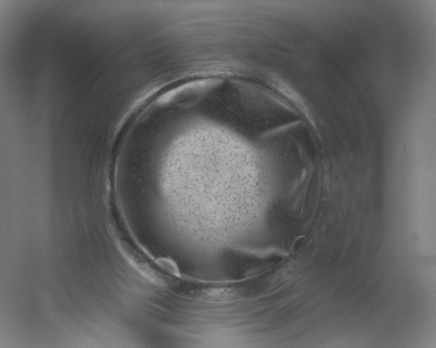 X0000054380059200508121617