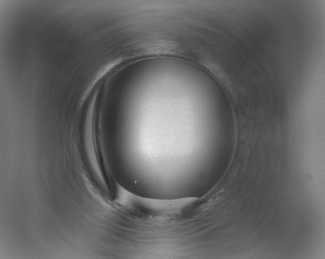 X0000054380060200508121617