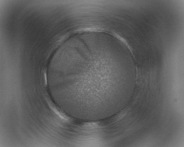 X0000054380061200508121617