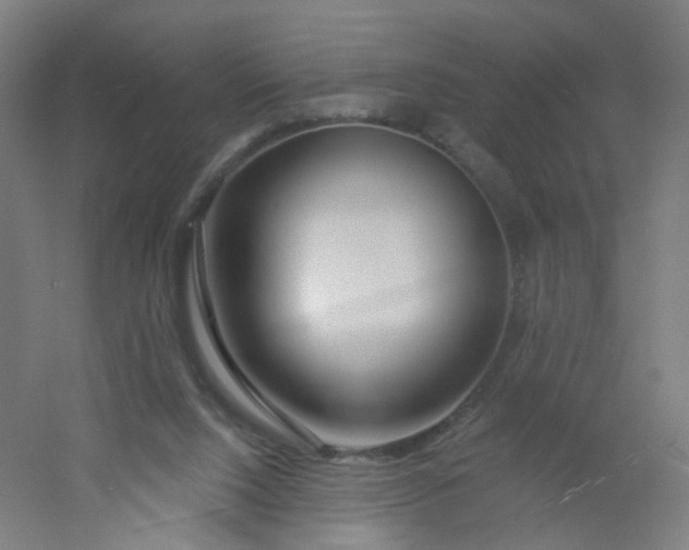X0000054380064200508121617
