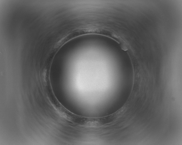 X0000054380066200508121617