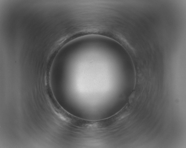 X0000054380068200508121617