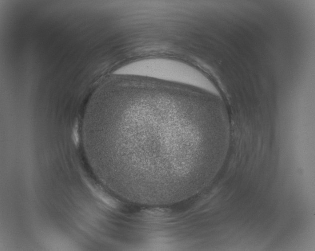 X0000054380069200508121617