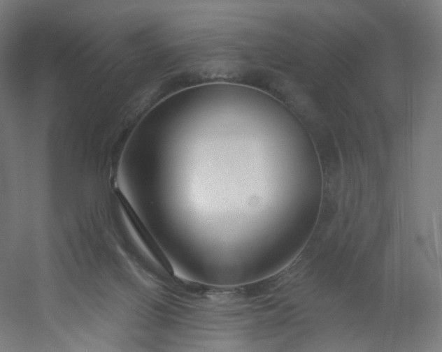 X0000054380070200508121617
