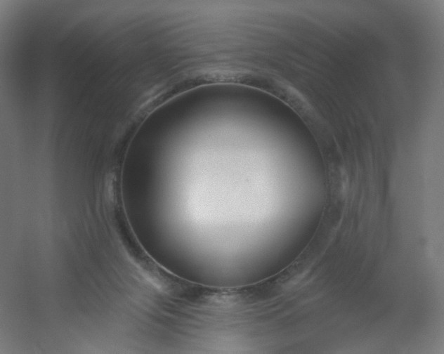 X0000054380071200508121617