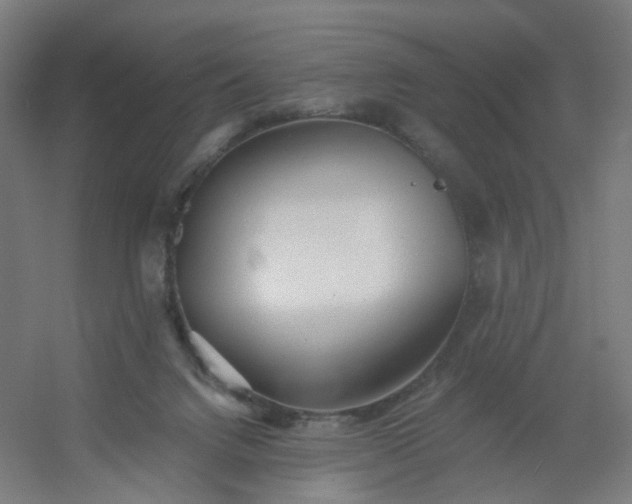 X0000054380072200508121617