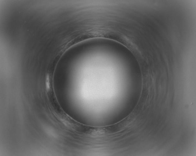 X0000054380075200508121617