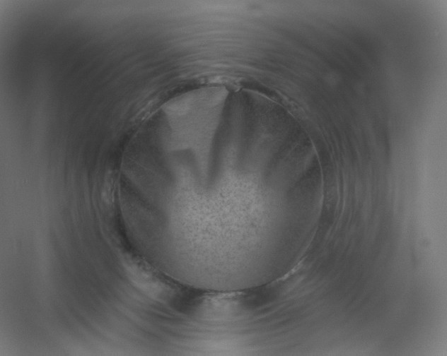 X0000054380078200508121617