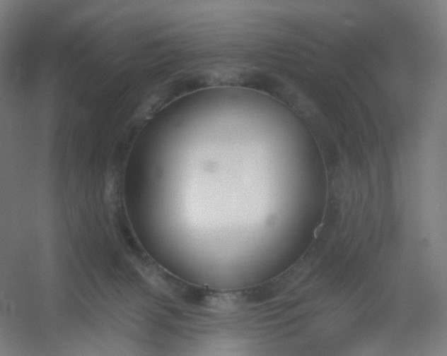 X0000054380079200508121617