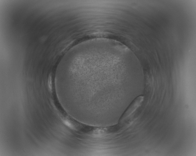 X0000054380080200508121617