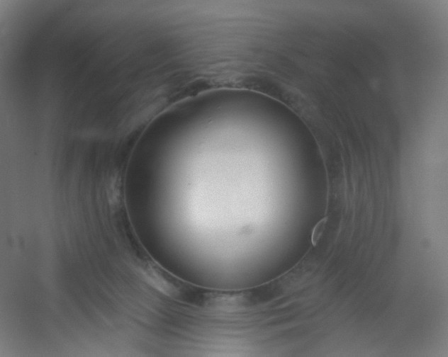 X0000054380081200508121617