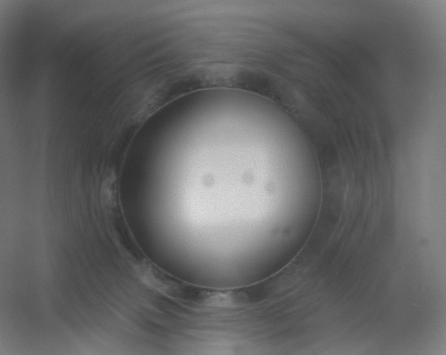 X0000054380083200508121617
