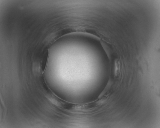 X0000054380084200508121618