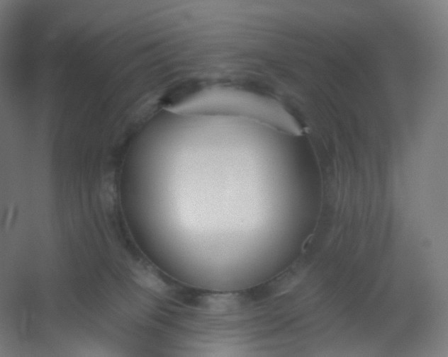 X0000054380085200508121618