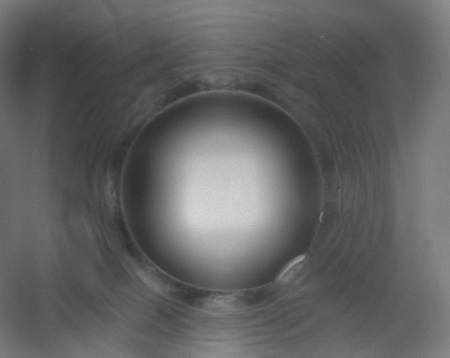 X0000054380086200508121618