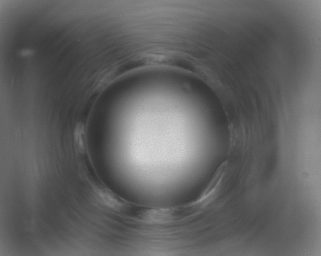 X0000054380094200508121618