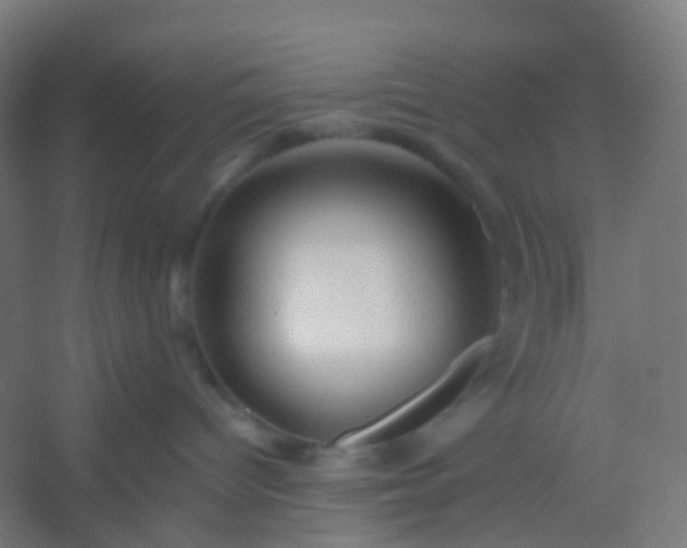 X0000054380096200508121618