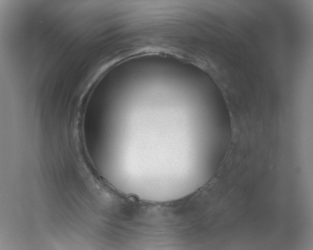 X0000054380098200508121617