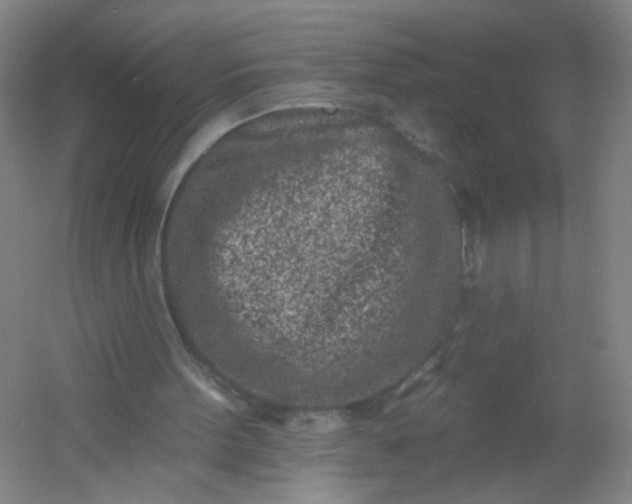X0000054380099200508121617