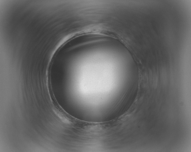 X0000054380100200508121617