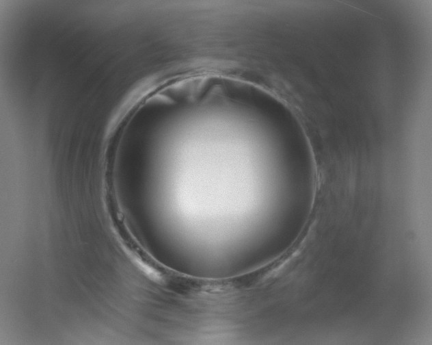 X0000054380101200508121617