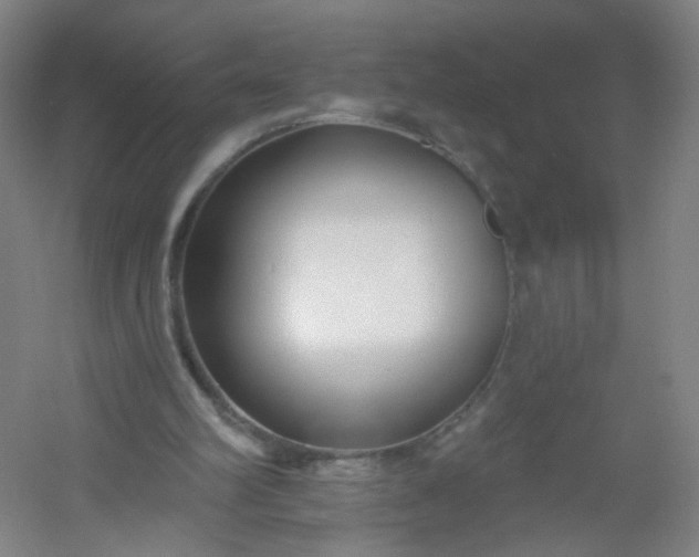X0000054380102200508121617