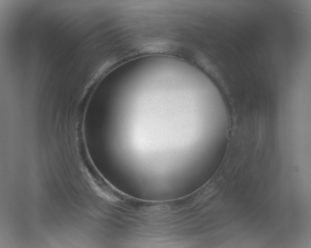 X0000054380106200508121617