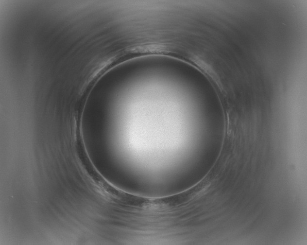 X0000054380109200508121617