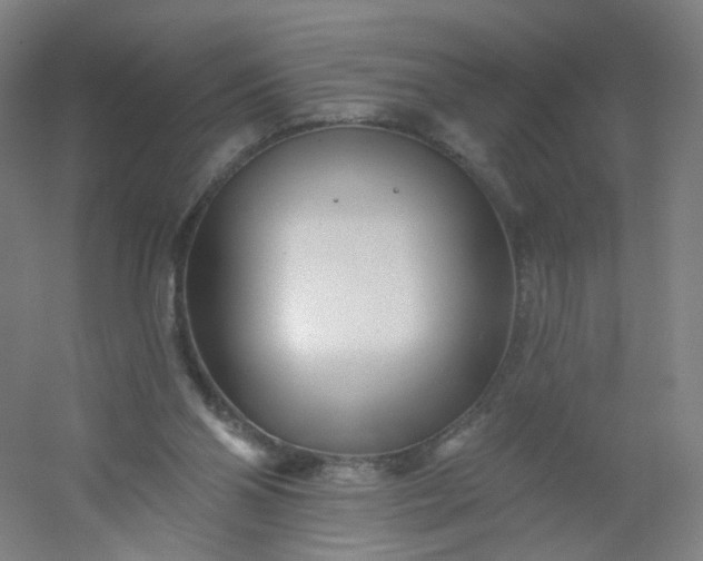 X0000054380110200508121617