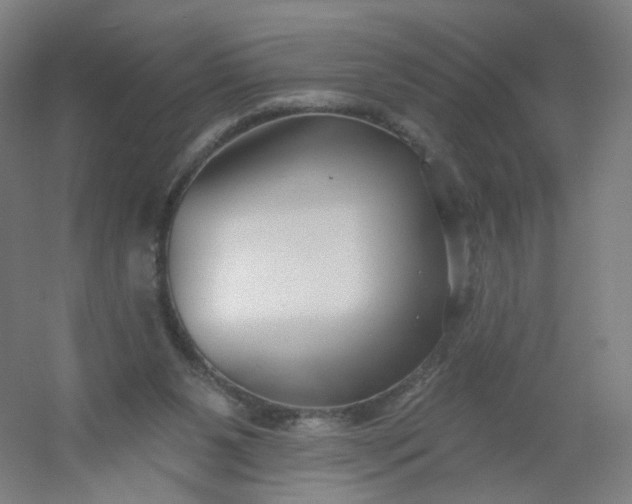X0000054380111200508121617