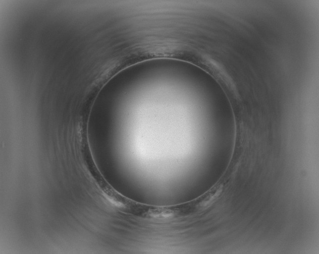 X0000054380113200508121617