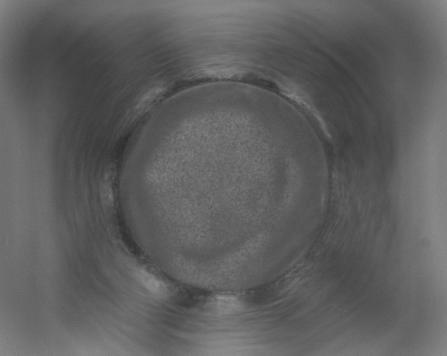 X0000054380114200508121617