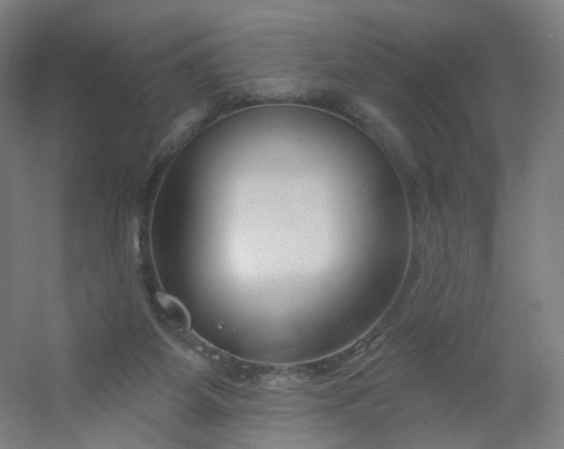 X0000054380115200508121617