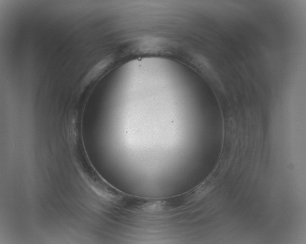 X0000054380116200508121617
