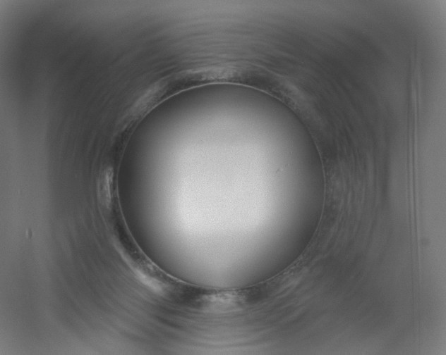 X0000054380118200508121617