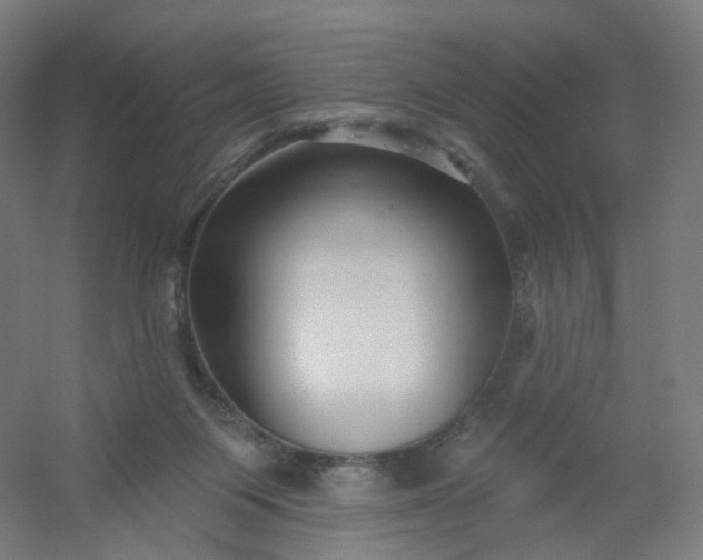 X0000054380119200508121617