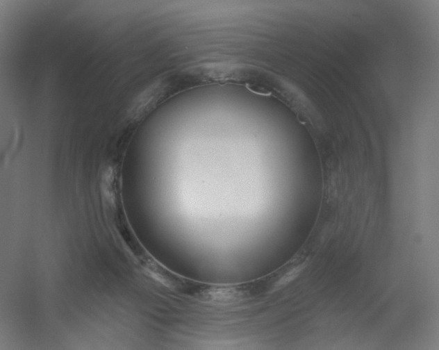 X0000054380121200508121616