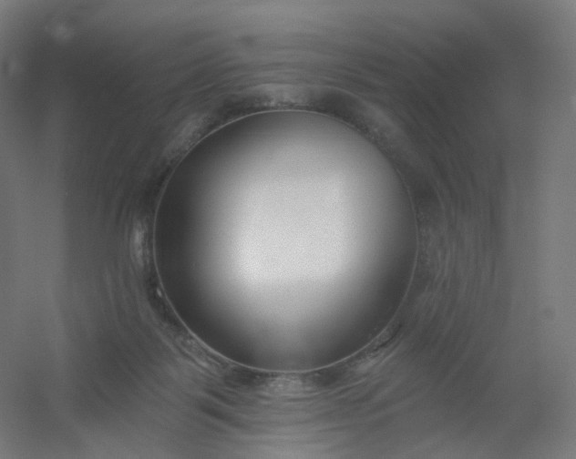 X0000054380123200508121616