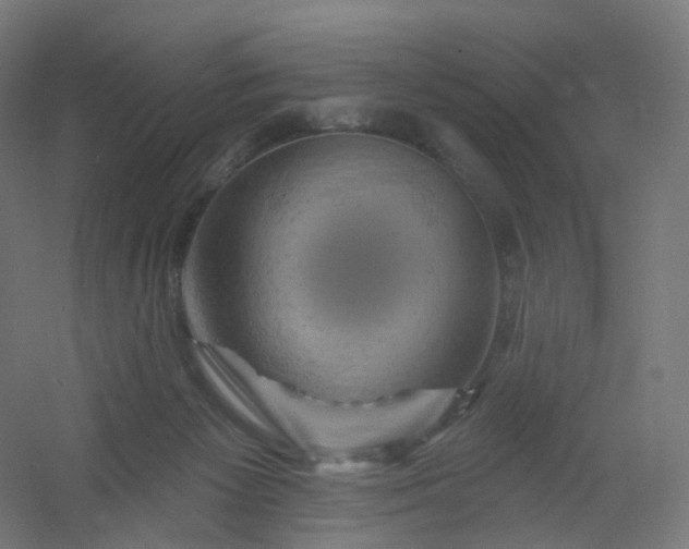 X0000054380125200508121616