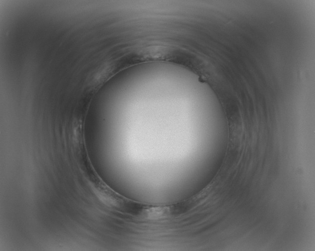 X0000054380126200508121616