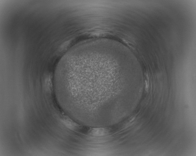 X0000054380127200508121616