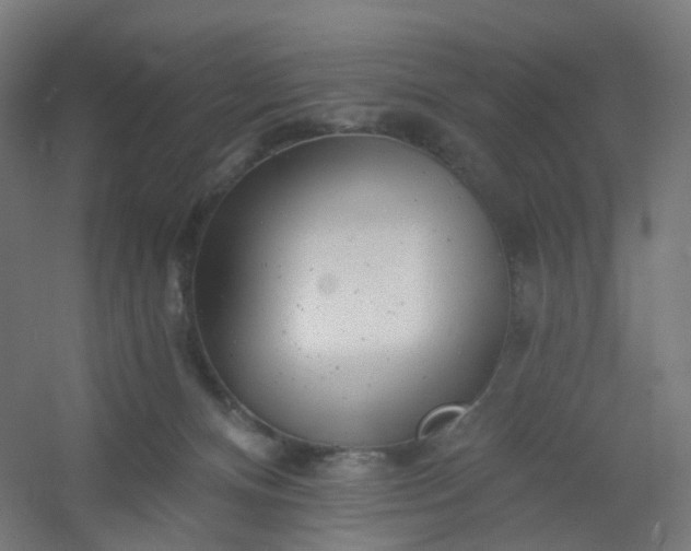 X0000054380128200508121616