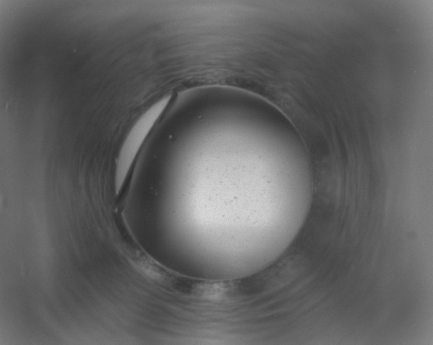 X0000054380131200508121616