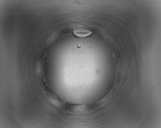 X0000054380132200508121616