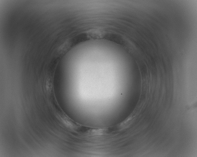 X0000054380134200508121616