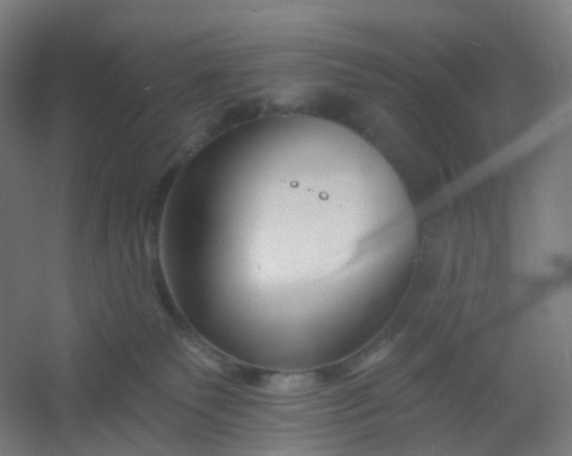 X0000054380135200508121616